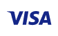 Visa payment icon